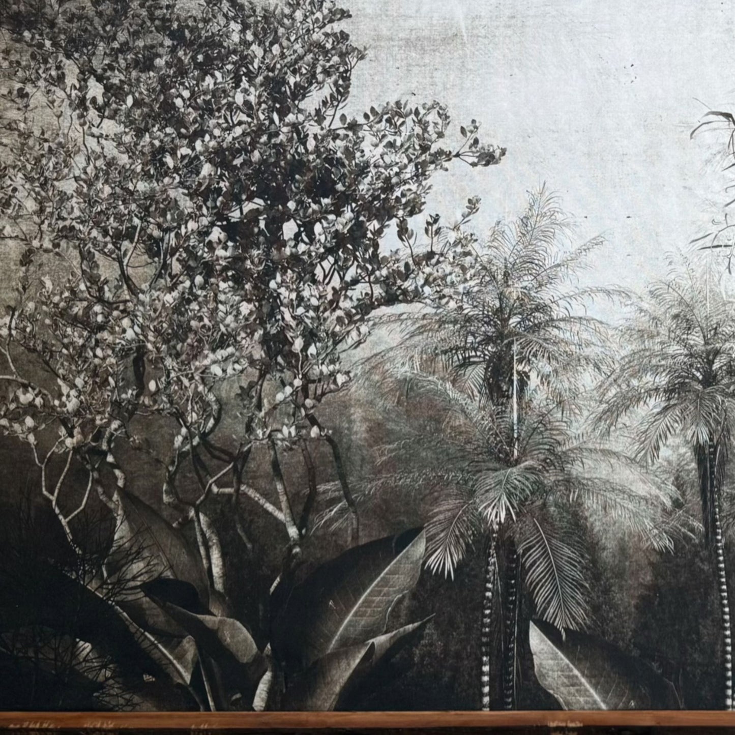 Bosque Interior Terracalma