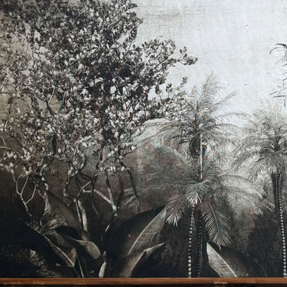 Bosque Interior Terracalma